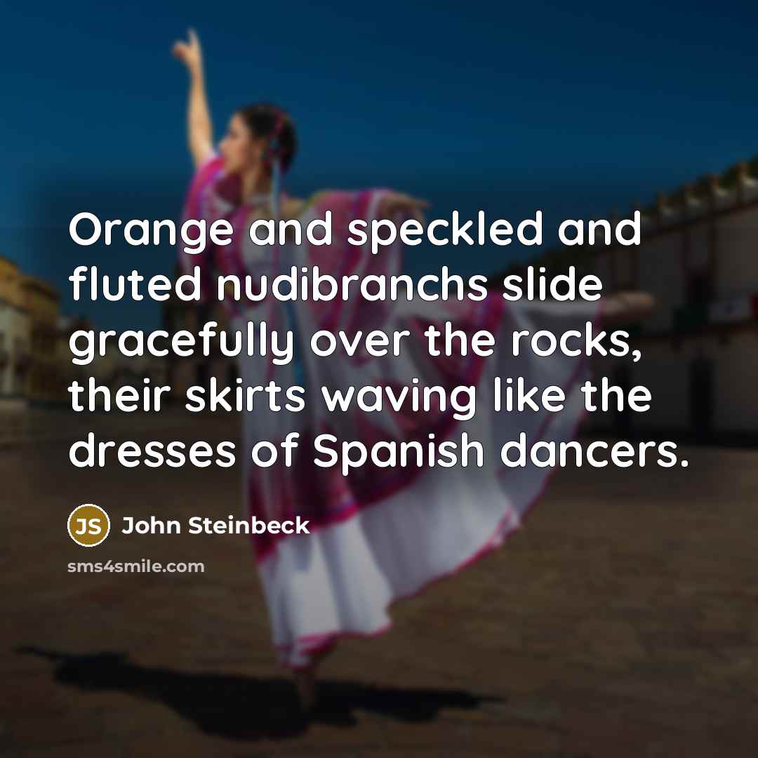 “Orange and speckled and fluted nudibranchs slide gracefully over the…” quote by John Steinbeck