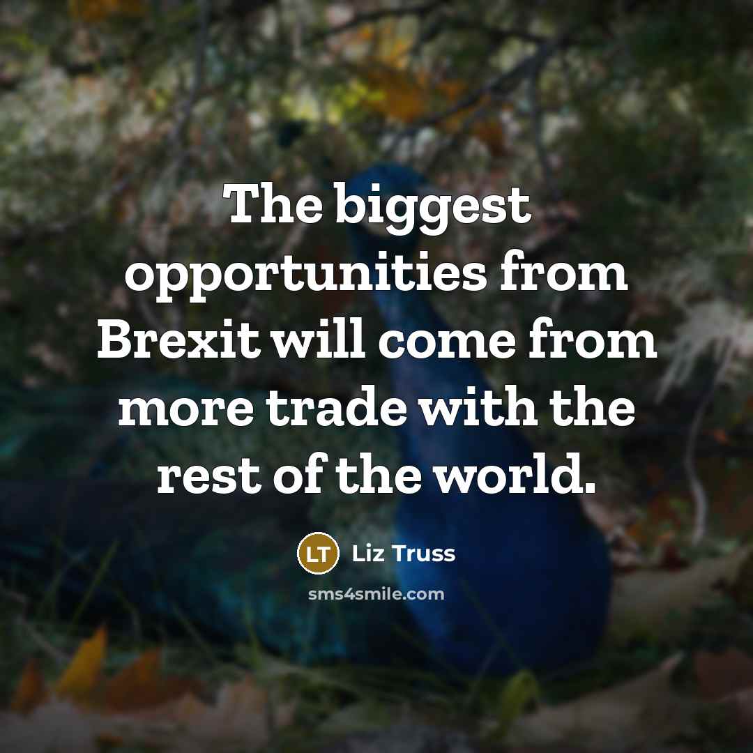 “The biggest opportunities from Brexit will come from more trade…” quote by Liz Truss