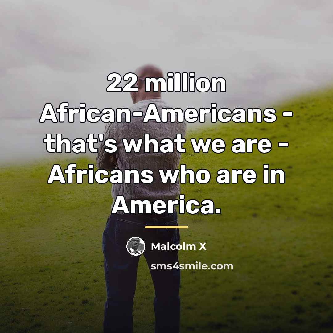 “22 million African-Americans - that's what we are - Africans…” quote by Malcolm X