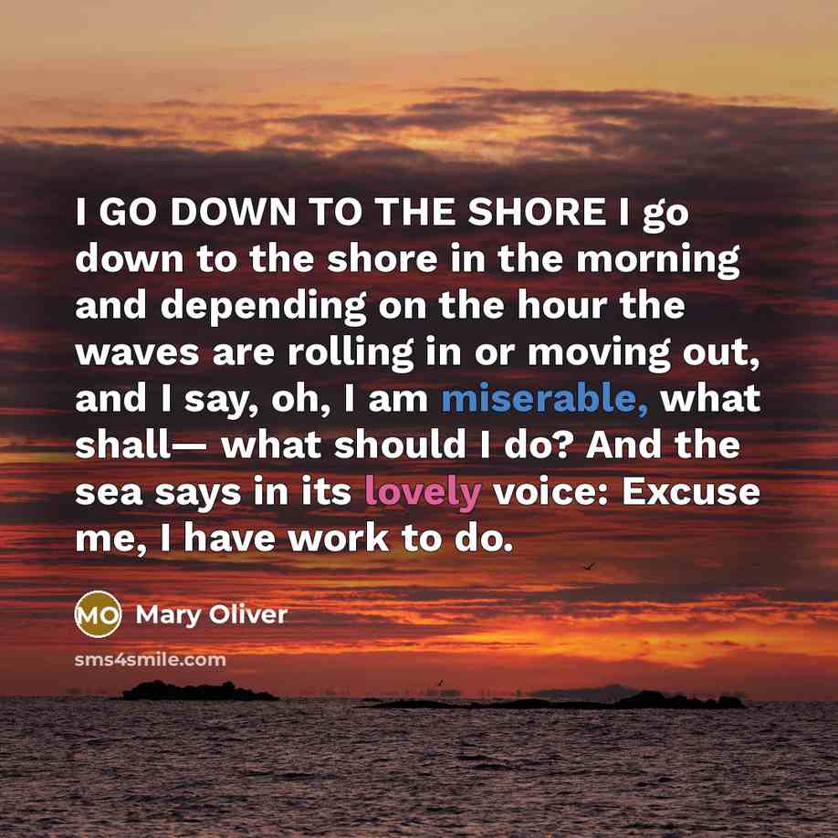 “I GO DOWN TO THE SHORE I go down to…” quote by Mary Oliver