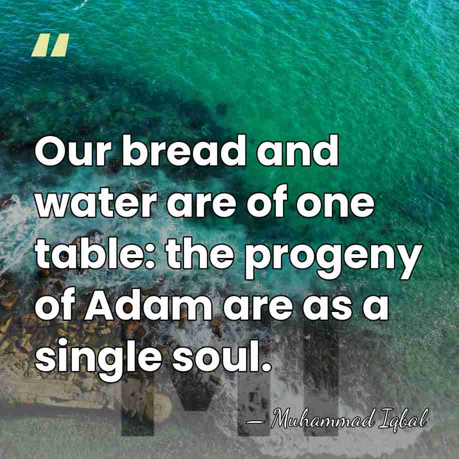 Our bread and water are of one table: the progeny of Adam&hellip; - Muhammad Iqbal