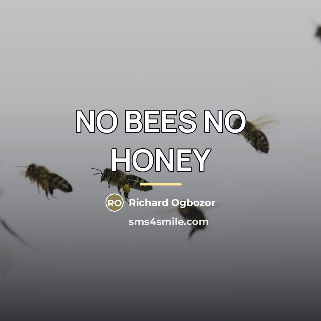 “NO BEES NO HONEY…” quote by Richard Ogbozor