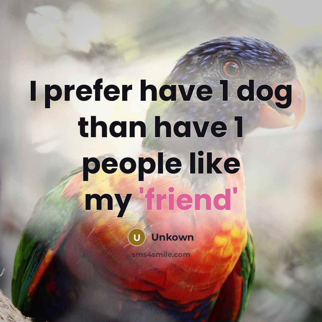 “I prefer have 1 dog than have 1 people like my 'friend'” quote by Unkown