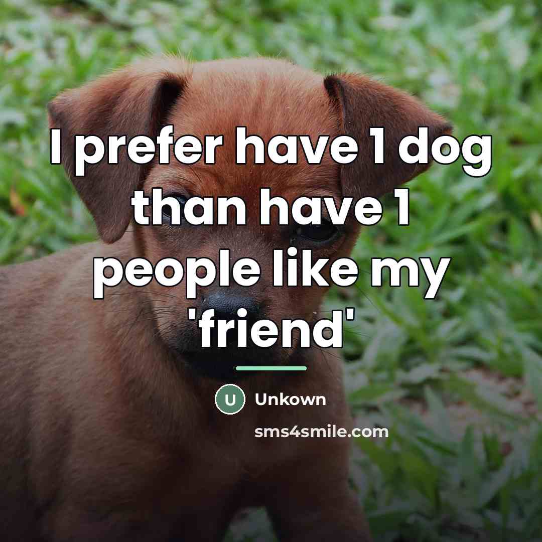 “I prefer have 1 dog than have 1 people like…” quote by Unkown