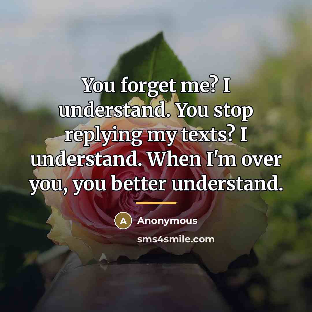 “You forget me? I understand. You stop replying my texts?…” quote by Anonymous