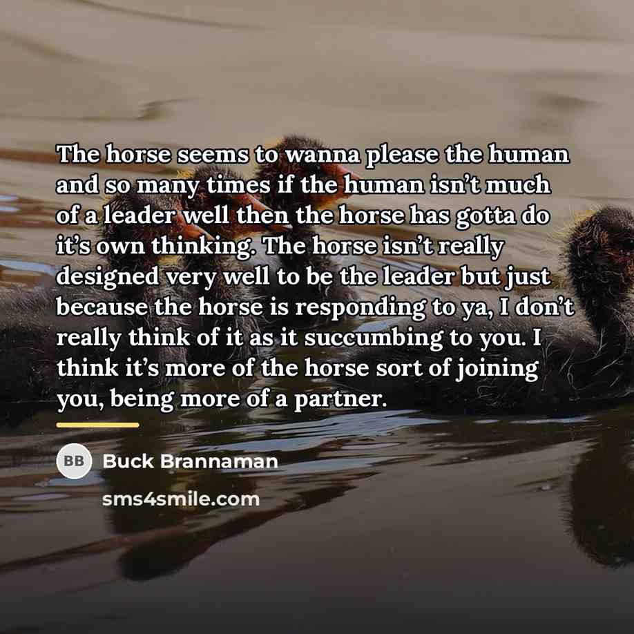 “The horse seems to wanna please the human and so…” quote by Buck Brannaman