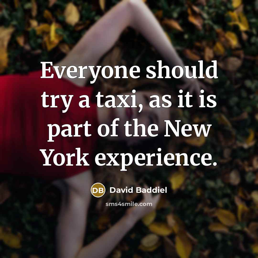 “Everyone should try a taxi, as it is part of…” quote by David Baddiel
