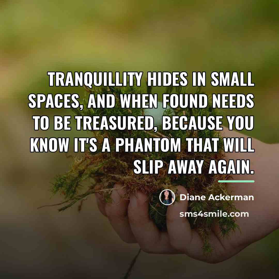 “Tranquillity hides in small spaces, and when found needs to…” quote by Diane Ackerman
