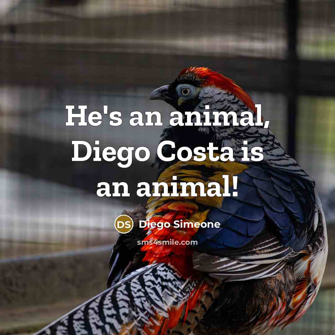 “He's an animal, Diego Costa is an animal!…” quote by Diego Simeone
