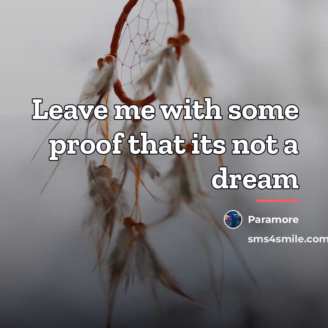 “Leave me with some proof that its not a dream…” quote by Paramore
