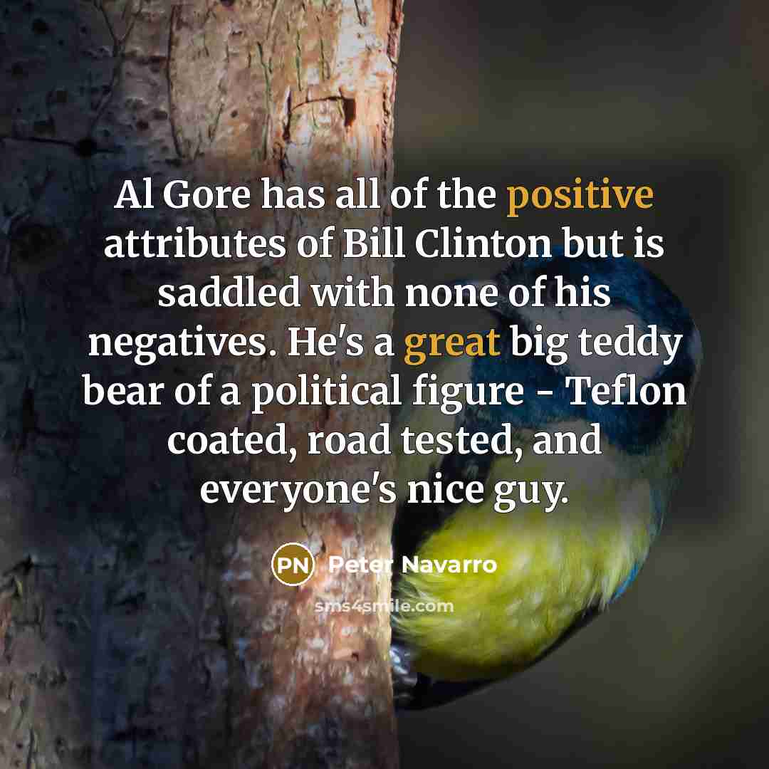 “Al Gore has all of the positive attributes of Bill Clinton but is saddled with none of his negatives. He's a great big teddy bear of a political figure - Teflon coated, road tested, and everyone's nice guy.” quote by Peter Navarro