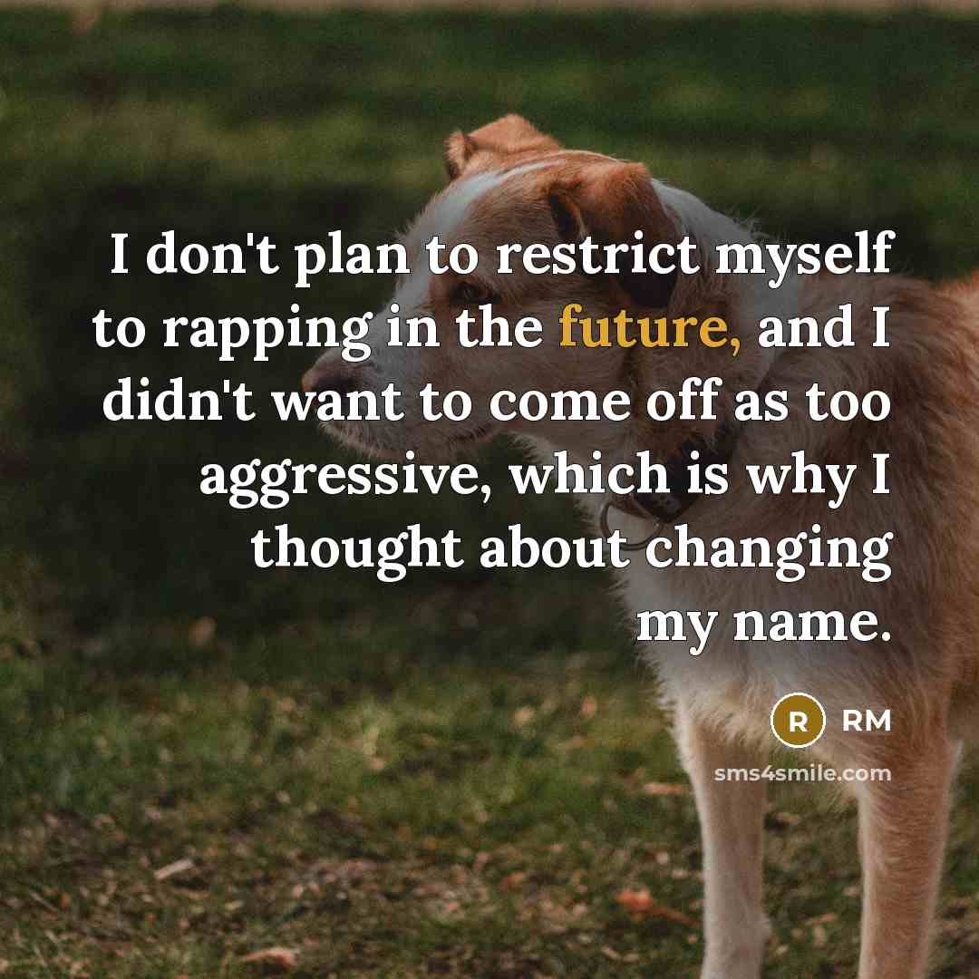 “I don't plan to restrict myself to rapping in the…” quote by RM