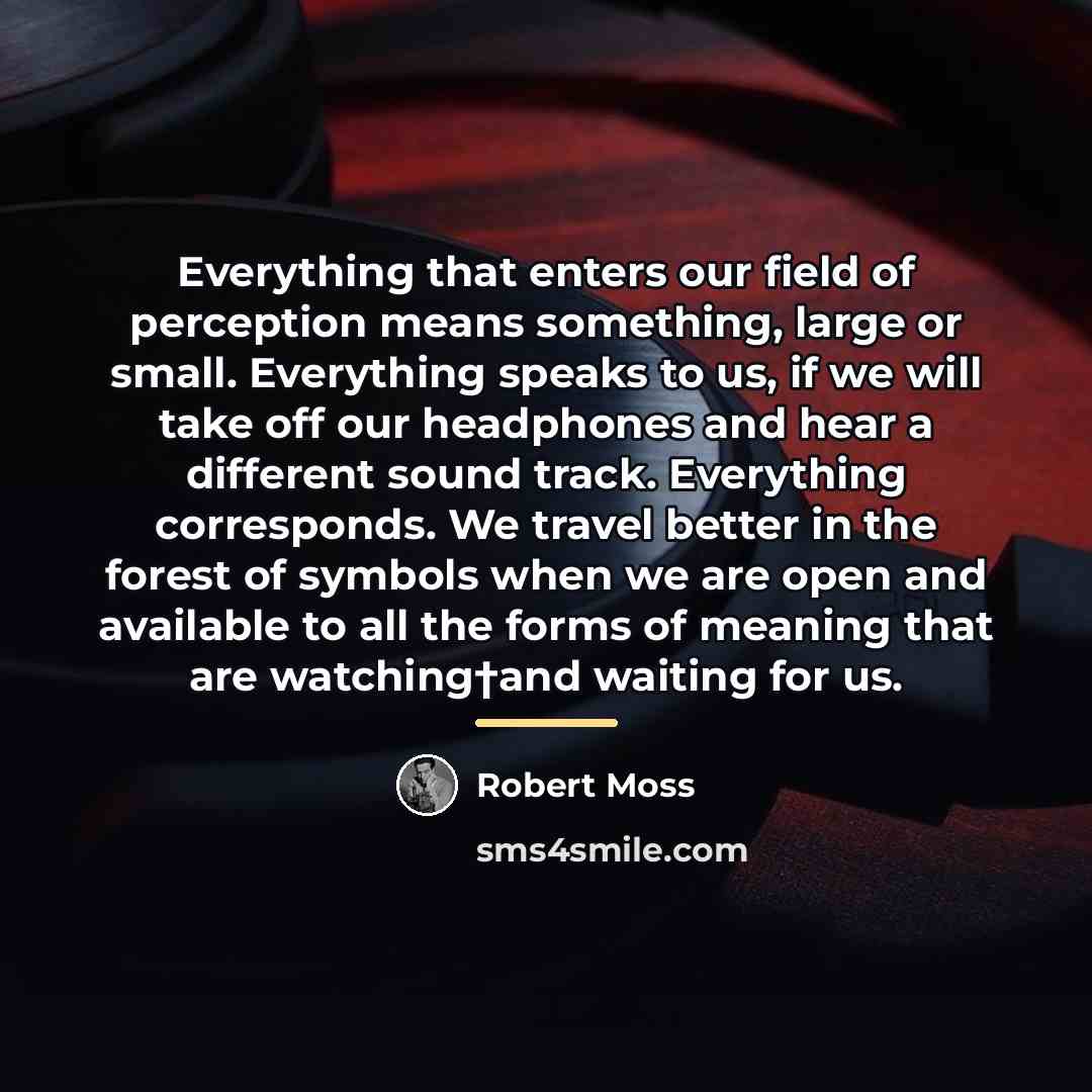 “Everything that enters our field of perception means something, large…” quote by Robert Moss