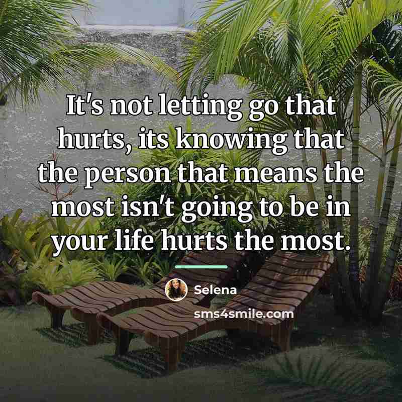 “It's not letting go that hurts, its knowing that the…” quote by Selena