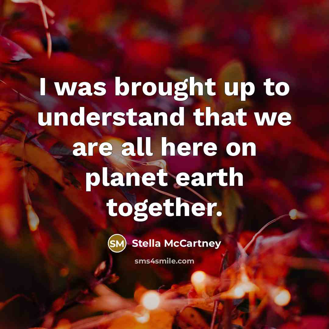 “I was brought up to understand that we are all…” quote by Stella McCartney