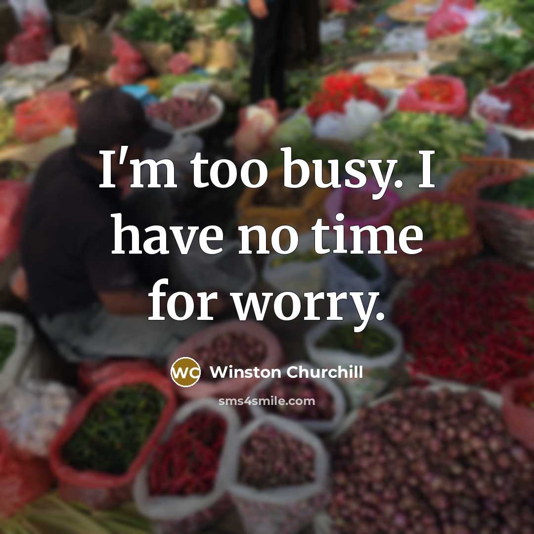 “I'm too busy. I have no time for worry.…” quote by Winston Churchill