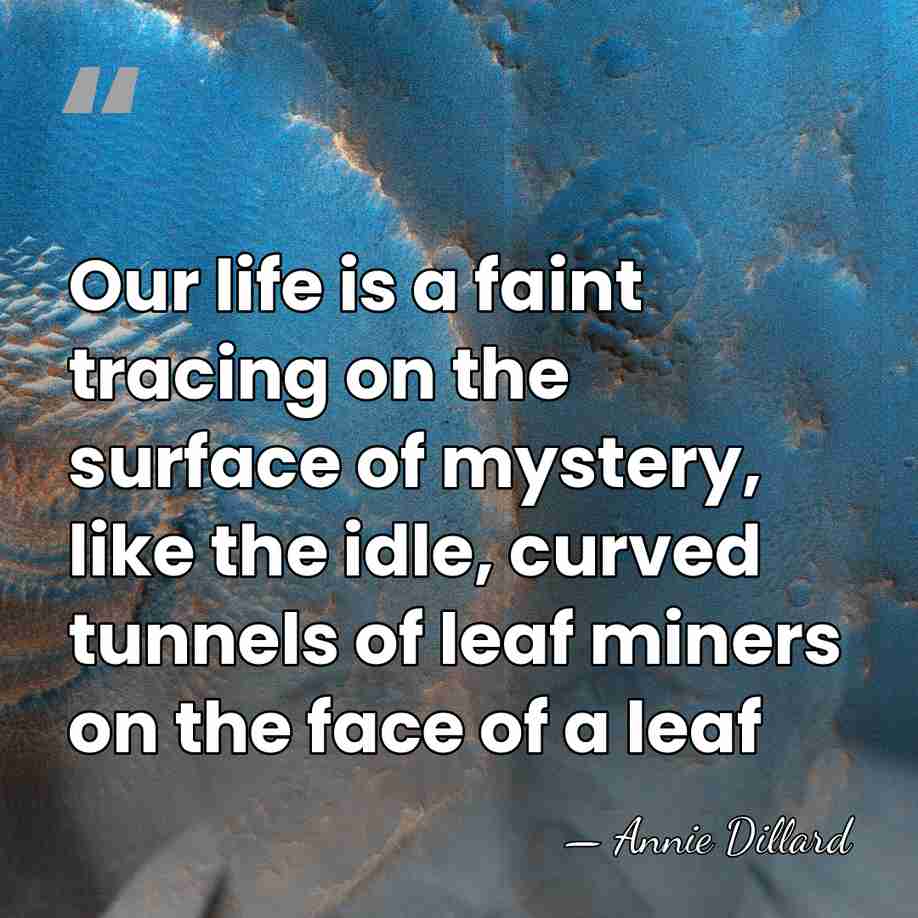 Our life is a faint tracing on the surface of mystery, like&hellip; - Annie Dillard