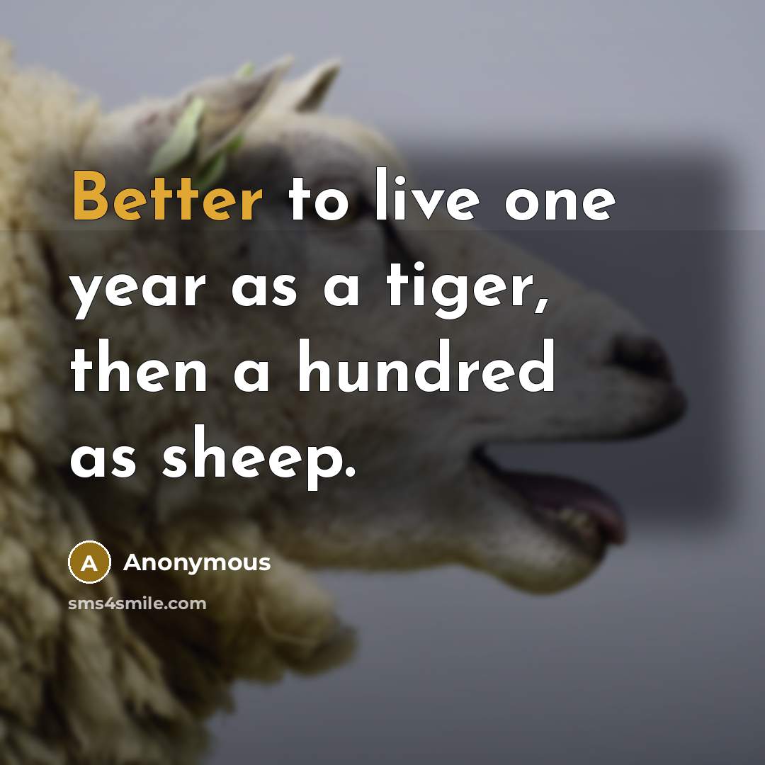 “Better to live one year as a tiger, then a hundred as sheep.” quote by Anonymous