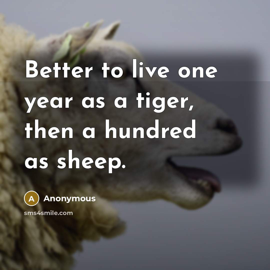 “Better to live one year as a tiger, then a…” quote by Anonymous