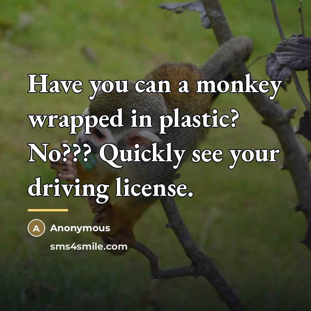 “Have you can a monkey wrapped in plastic? No??? Quickly…” quote by Anonymous