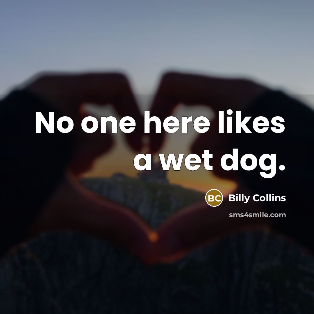 “No one here likes a wet dog.…” quote by Billy Collins