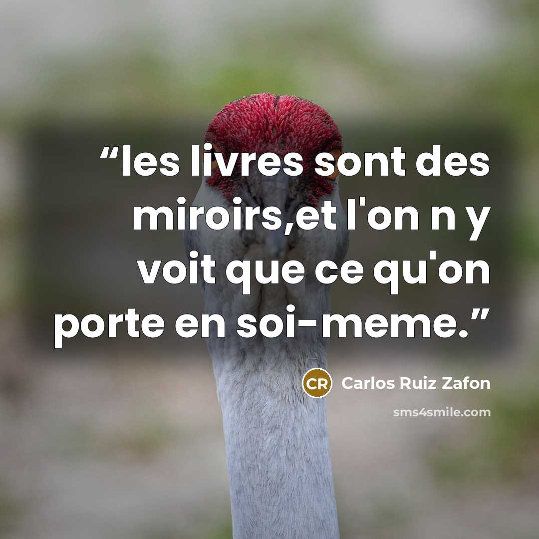 “les livres sont des miroirs,et l'on n y voit que ce qu'on porte en soi-meme.” quote by Carlos Ruiz Zafón