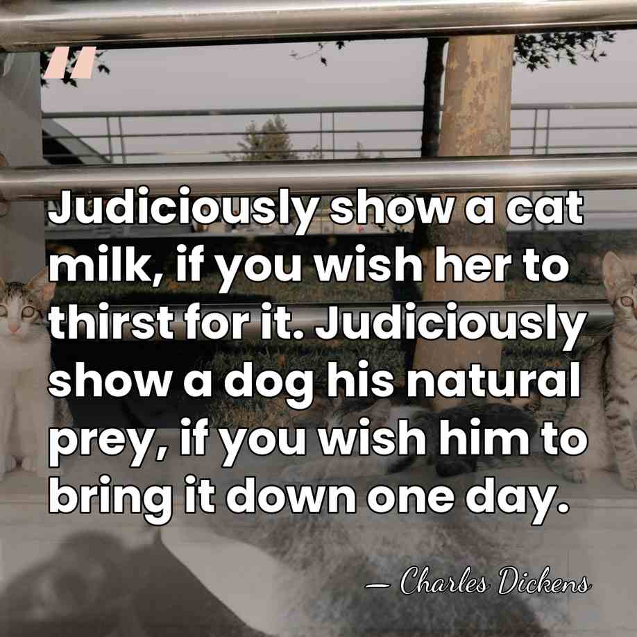 Judiciously show a cat milk, if you wish her to thirst for&hellip; - Charles Dickens