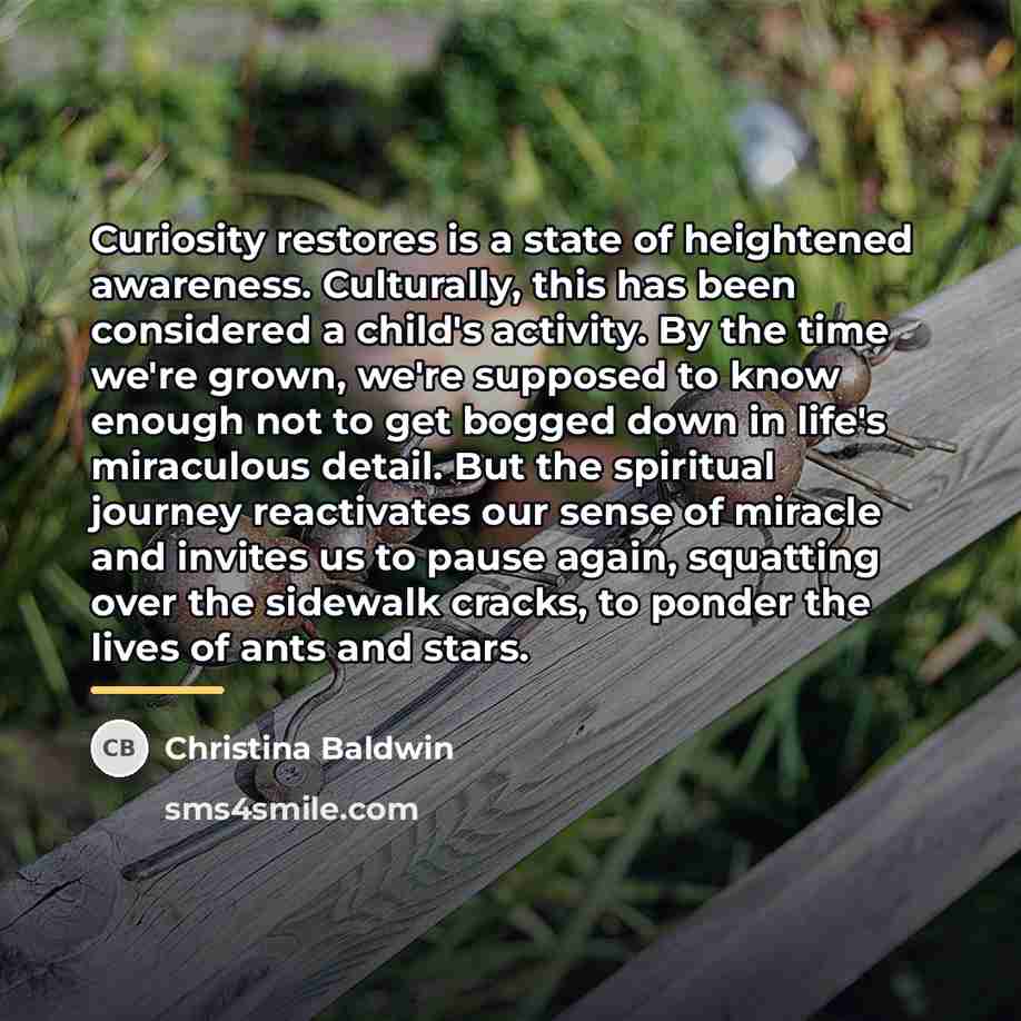 “Curiosity restores is a state of heightened awareness. Culturally, this…” quote by Christina Baldwin