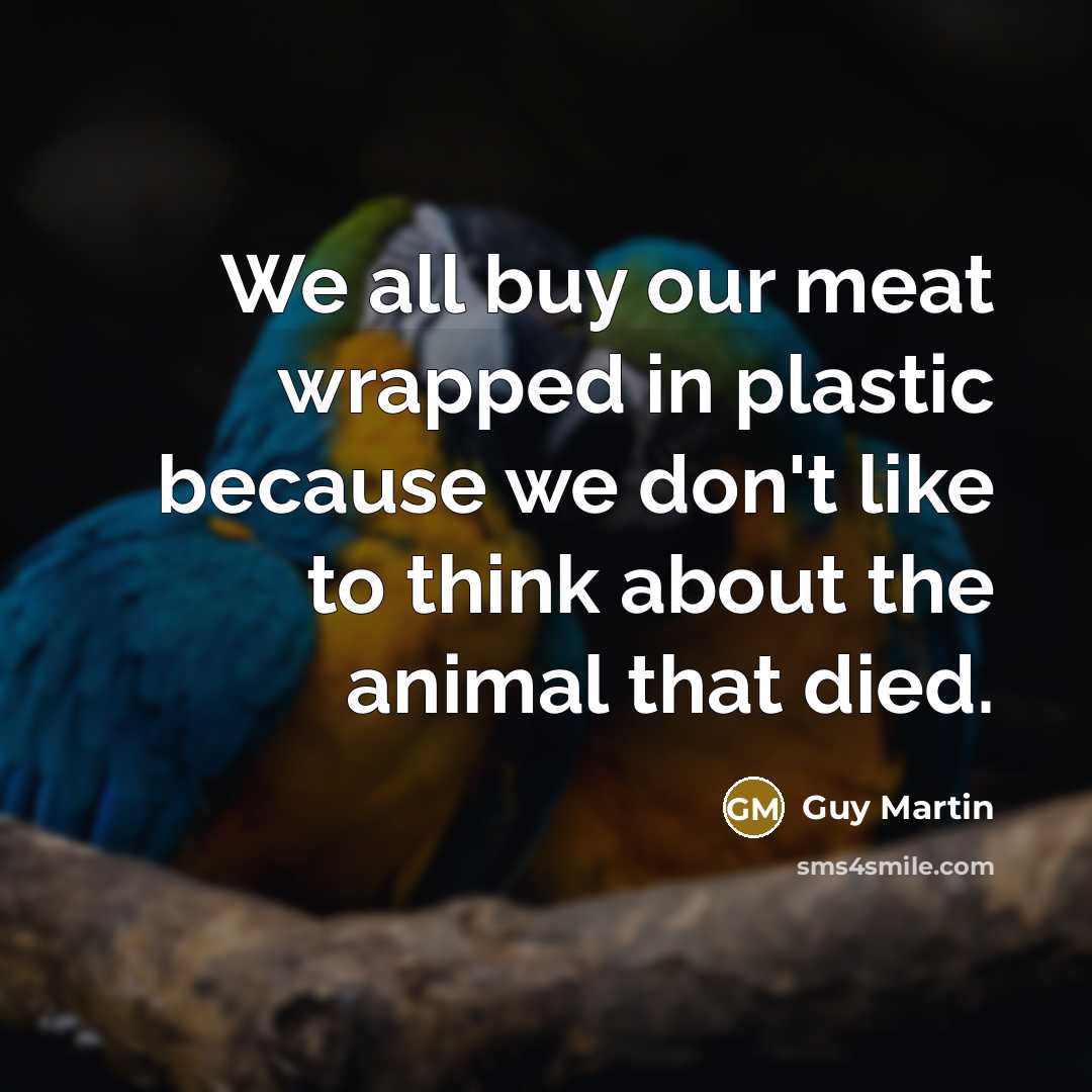“We all buy our meat wrapped in plastic because we…” quote by Guy Martin