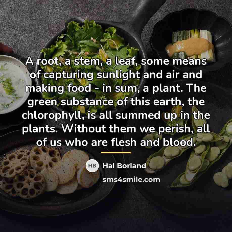 “A root, a stem, a leaf, some means of capturing…” quote by Hal Borland