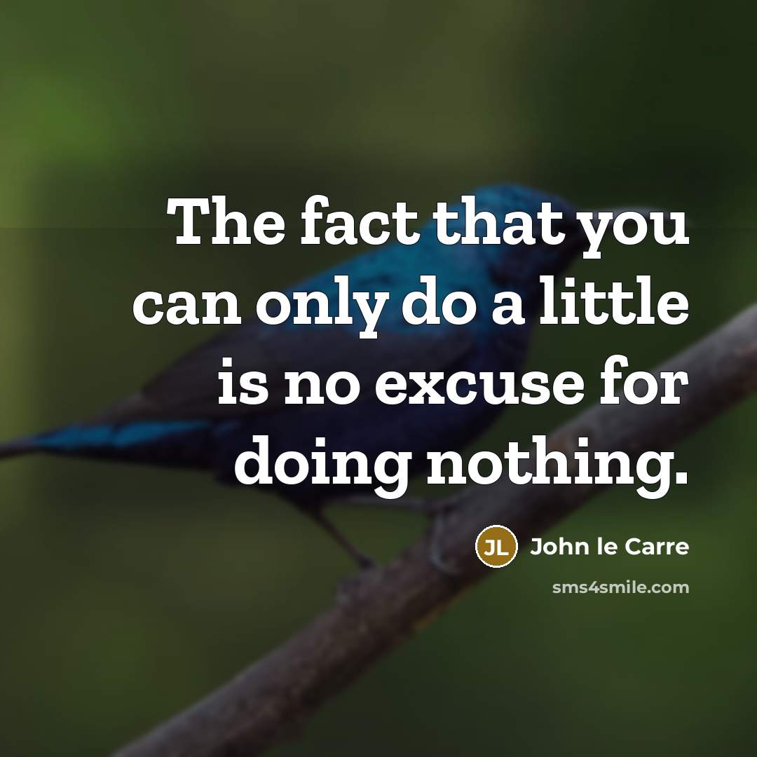 “The fact that you can only do a little is no excuse for doing nothing.” quote by John le Carre
