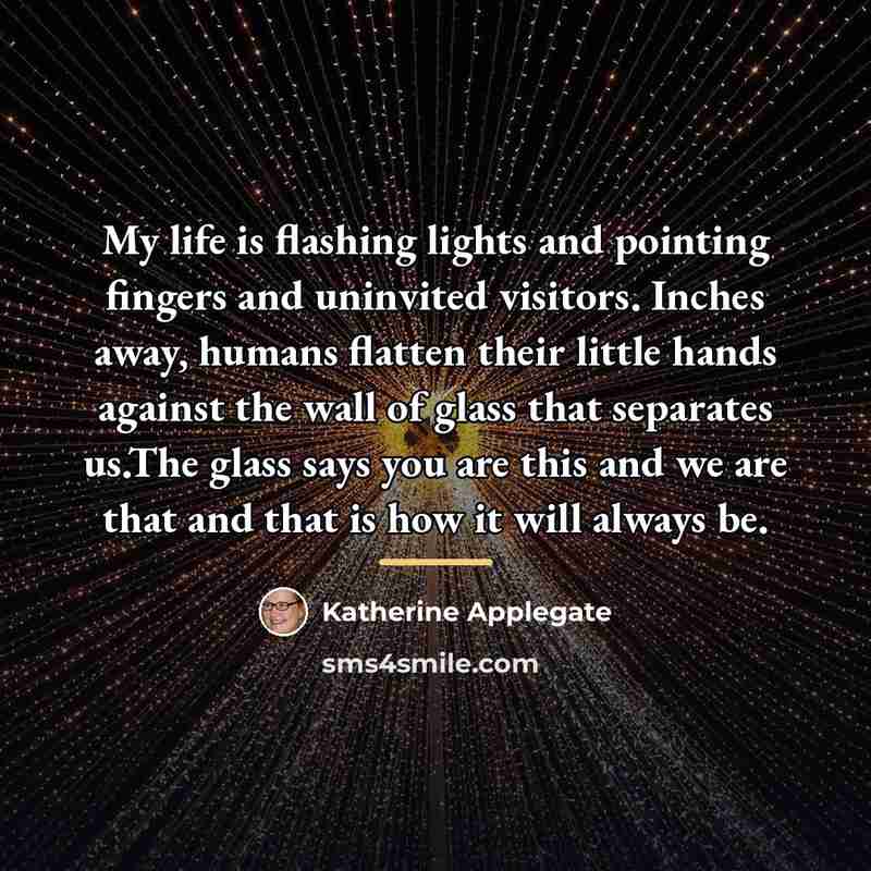 “My life is flashing lights and pointing fingers and uninvited…” quote by Katherine Applegate