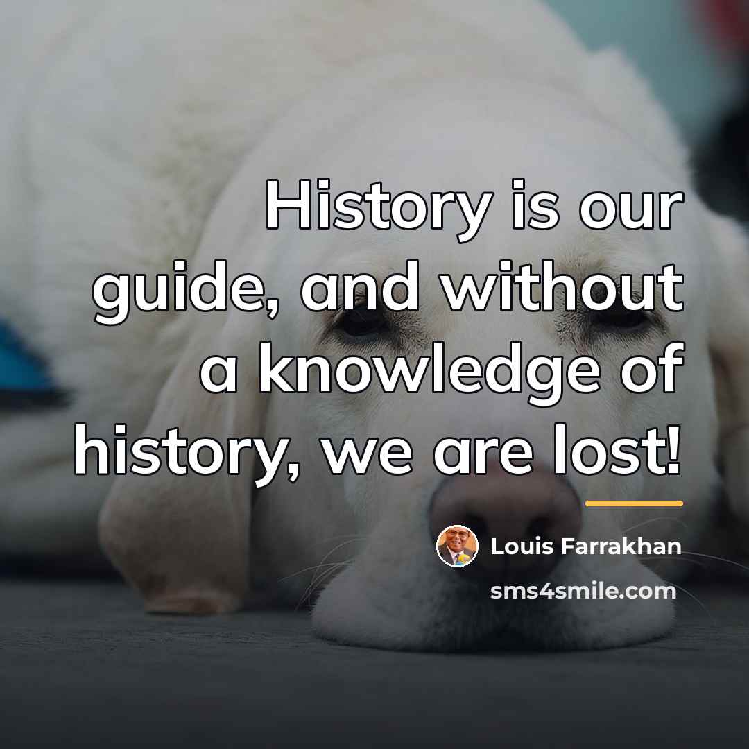 “History is our guide, and without a knowledge of history,…” quote by Louis Farrakhan