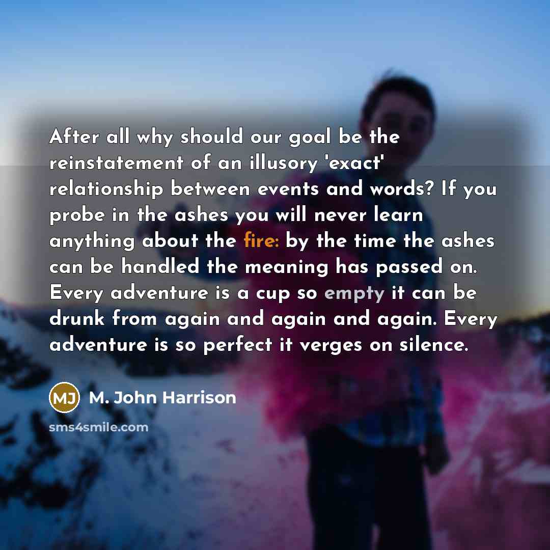 “After all why should our goal be the reinstatement of…” quote by M. John Harrison