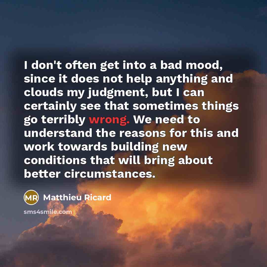 “I don't often get into a bad mood, since it…” quote by Matthieu Ricard
