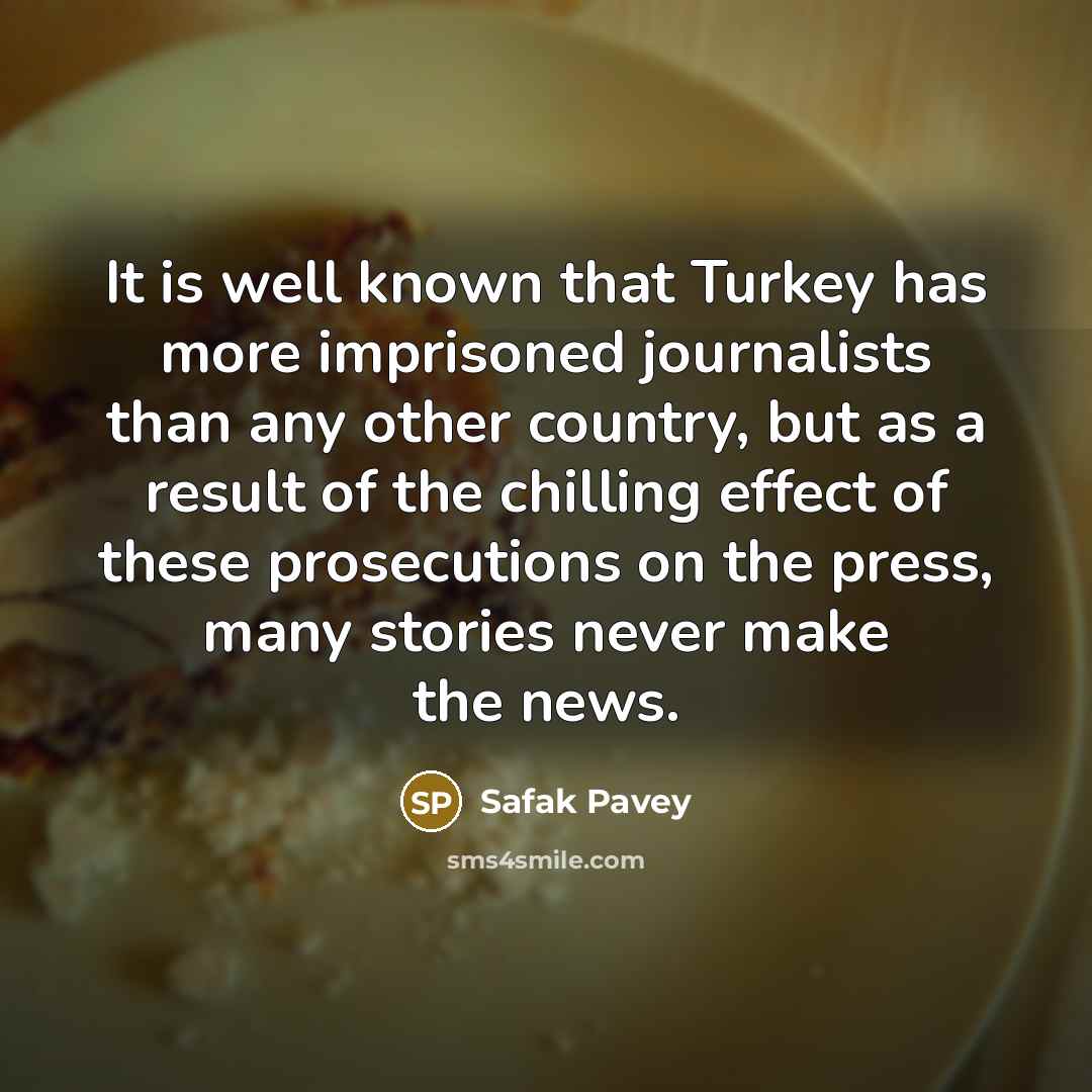 “It is well known that Turkey has more imprisoned journalists…” quote by Safak Pavey