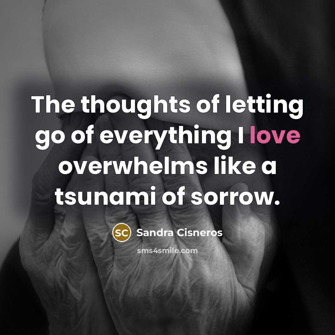“The thoughts of letting go of everything I love overwhelms…” quote by Sandra Cisneros