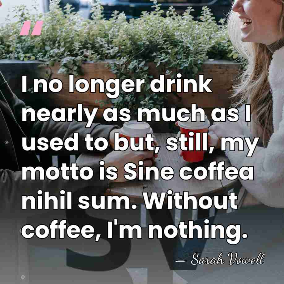 I no longer drink nearly as much as I used to but,&hellip; - Sarah Vowell