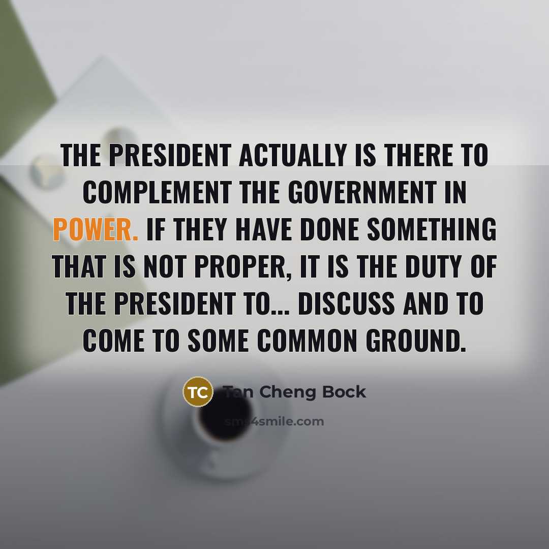 “The president actually is there to complement the government in…” quote by Tan Cheng Bock