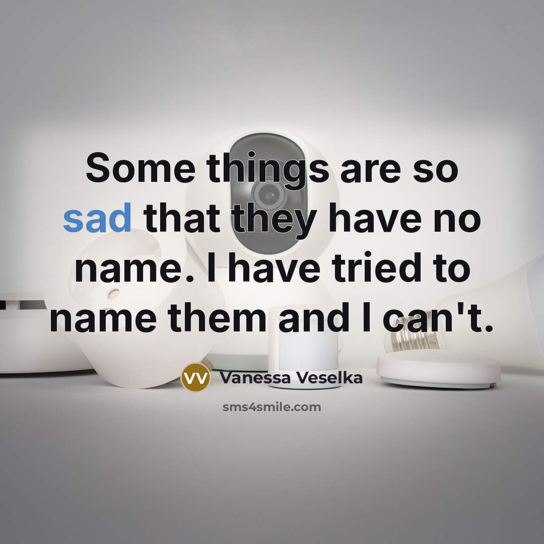 “Some things are so sad that they have no name.…” quote by Vanessa Veselka