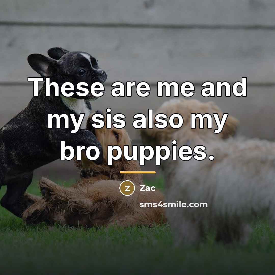 “These are me and my sis also my bro puppies.…” quote by Zac