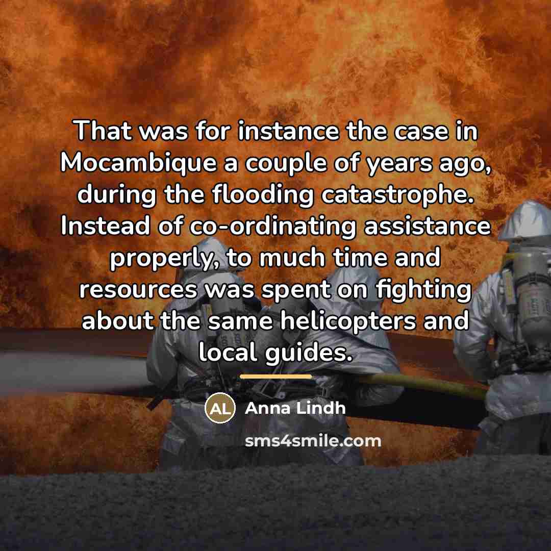 “That was for instance the case in Mocambique a couple…” quote by Anna Lindh
