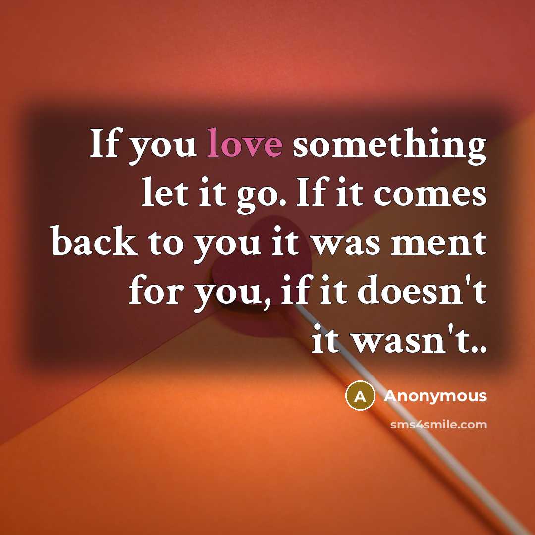 “If you love something let it go. If it comes back to you it was ment for you, if it doesn't it wasn't..” quote by Anonymous