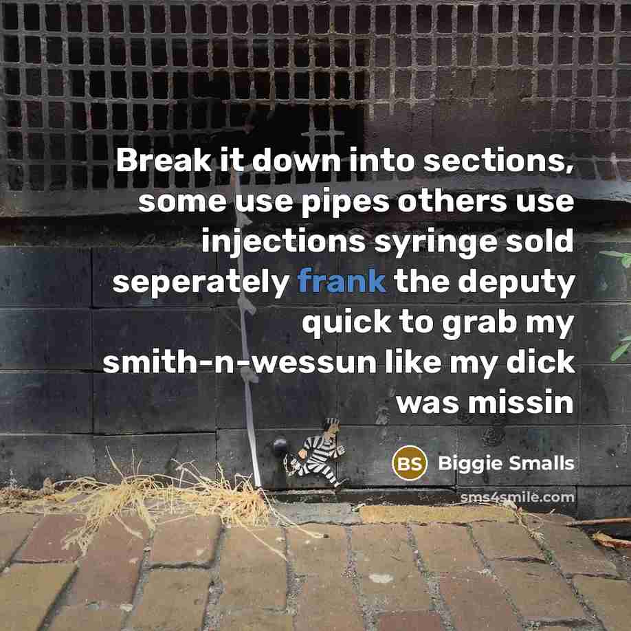 “Break it down into sections, some use pipes others use injections syringe sold seperately frank the deputy quick to grab my smith-n-wessun like my dick was missin” quote by Biggie Smalls