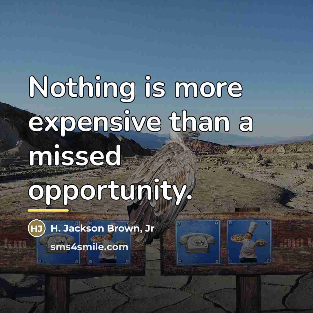 “Nothing is more expensive than a missed opportunity.…” quote by H. Jackson Brown, Jr