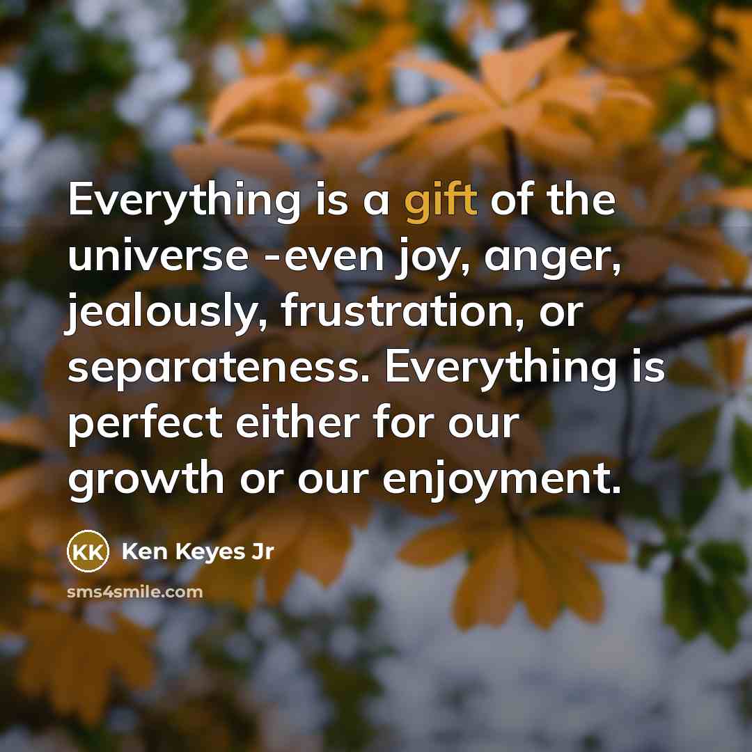 “Everything is a gift of the universe -even joy, anger,…” quote by Ken Keyes Jr