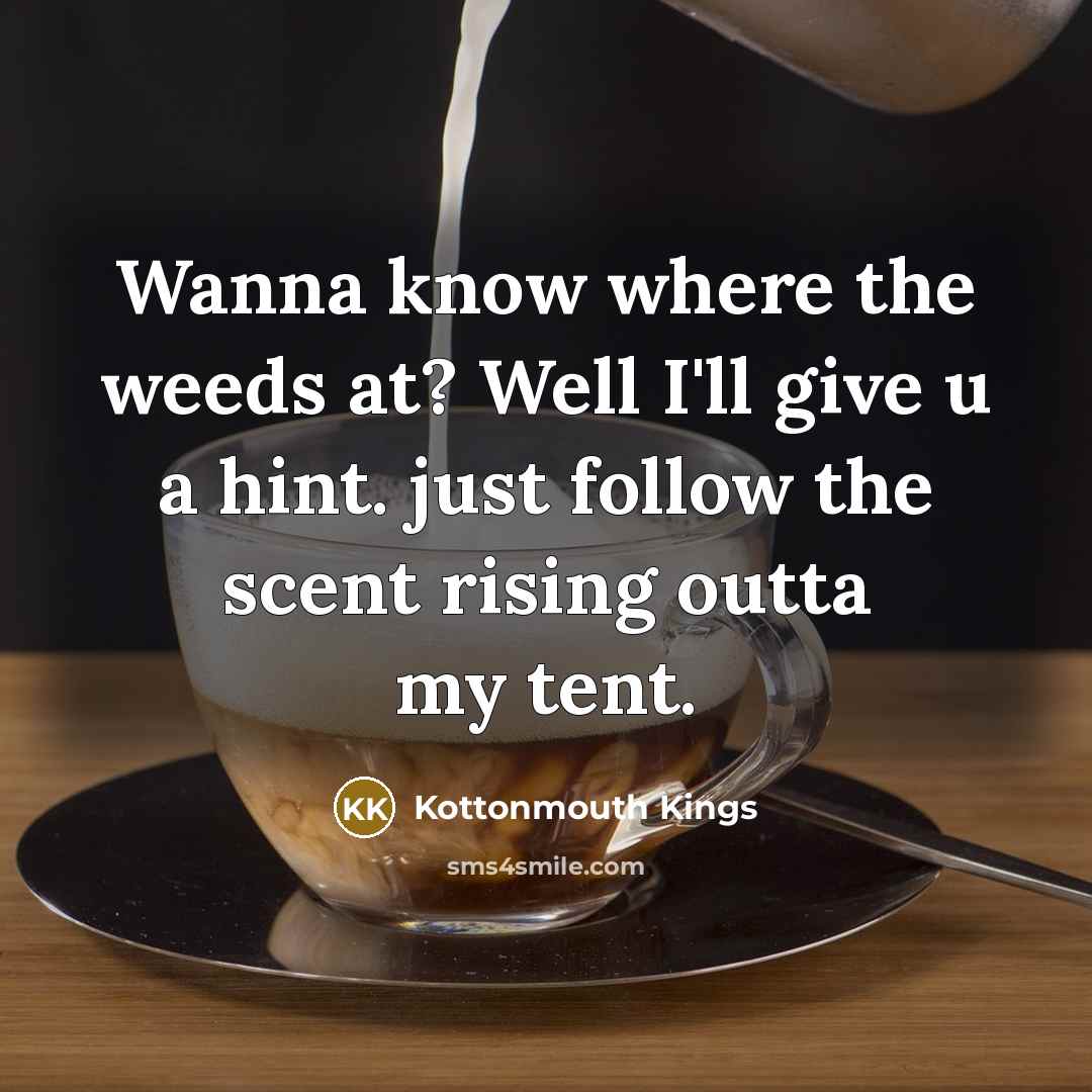“Wanna know where the weeds at? Well I'll give u a hint. just follow the scent rising outta my tent.” quote by Kottonmouth Kings
