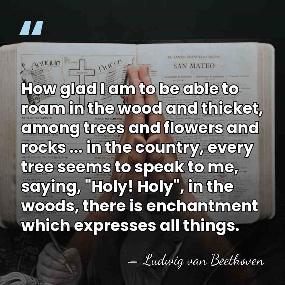 How glad I am to be able to roam in the wood&hellip; - Ludwig van Beethoven