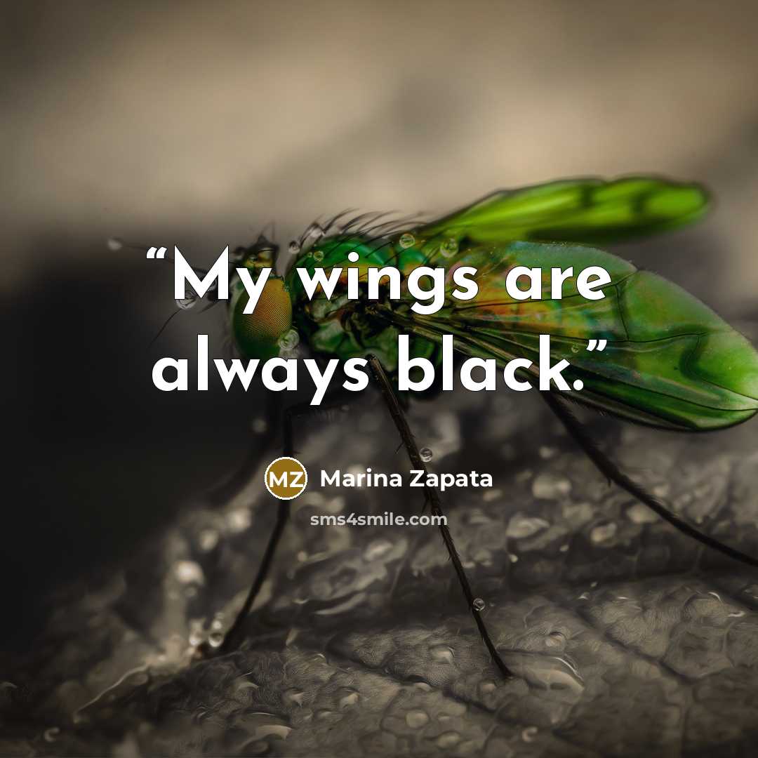 “My wings are always black.” quote by Marina Zapata