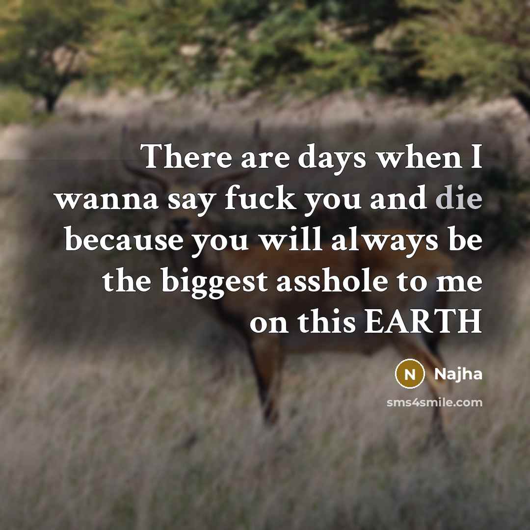 “There are days when I wanna say fuck you and…” quote by Najha